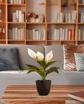 Alamkari India Fabric Artificial Potted Peace Lily Plant (40 cms)